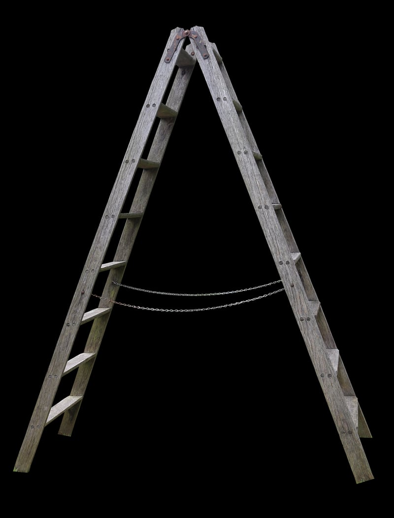 Repurposed Ladder Shelving